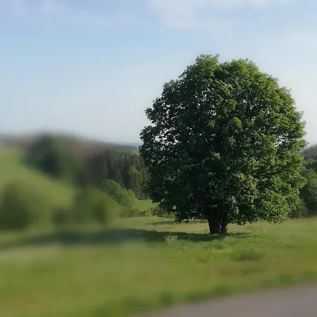 Apartment Schnetter Hummel, 1 Masserberg