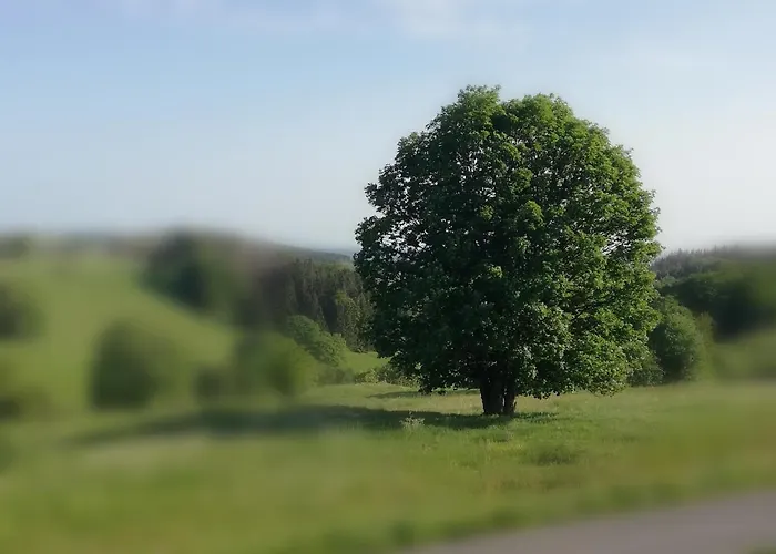 Apartment Schnetter Hummel, 1 Masserberg